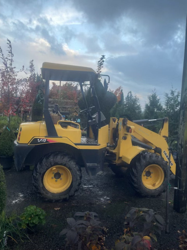 2015 Yanmar V4-6 Loader VIN #62422